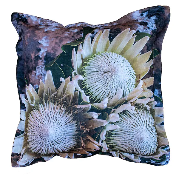 Scatter Cushion-White Protea Delight
