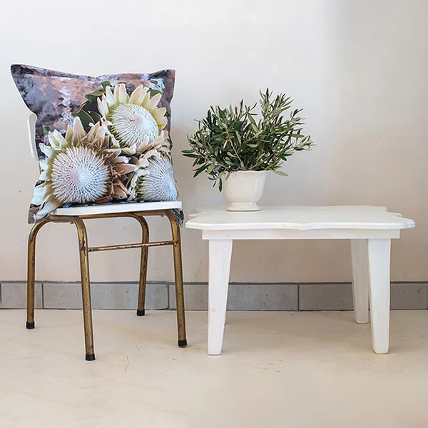 Scatter Cushion-White Protea Delight - Image 2